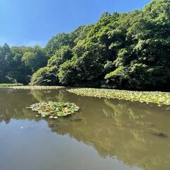 「個性について考える」 自分で選ぶべき道　　#木曜日の気づき