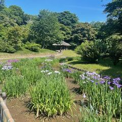 「がんばってる自覚なしに努力できてるのすごいな」　#火曜日のひとこと