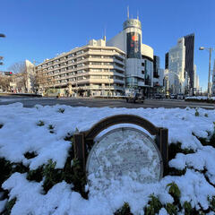東京にはまたまた降雪の予報