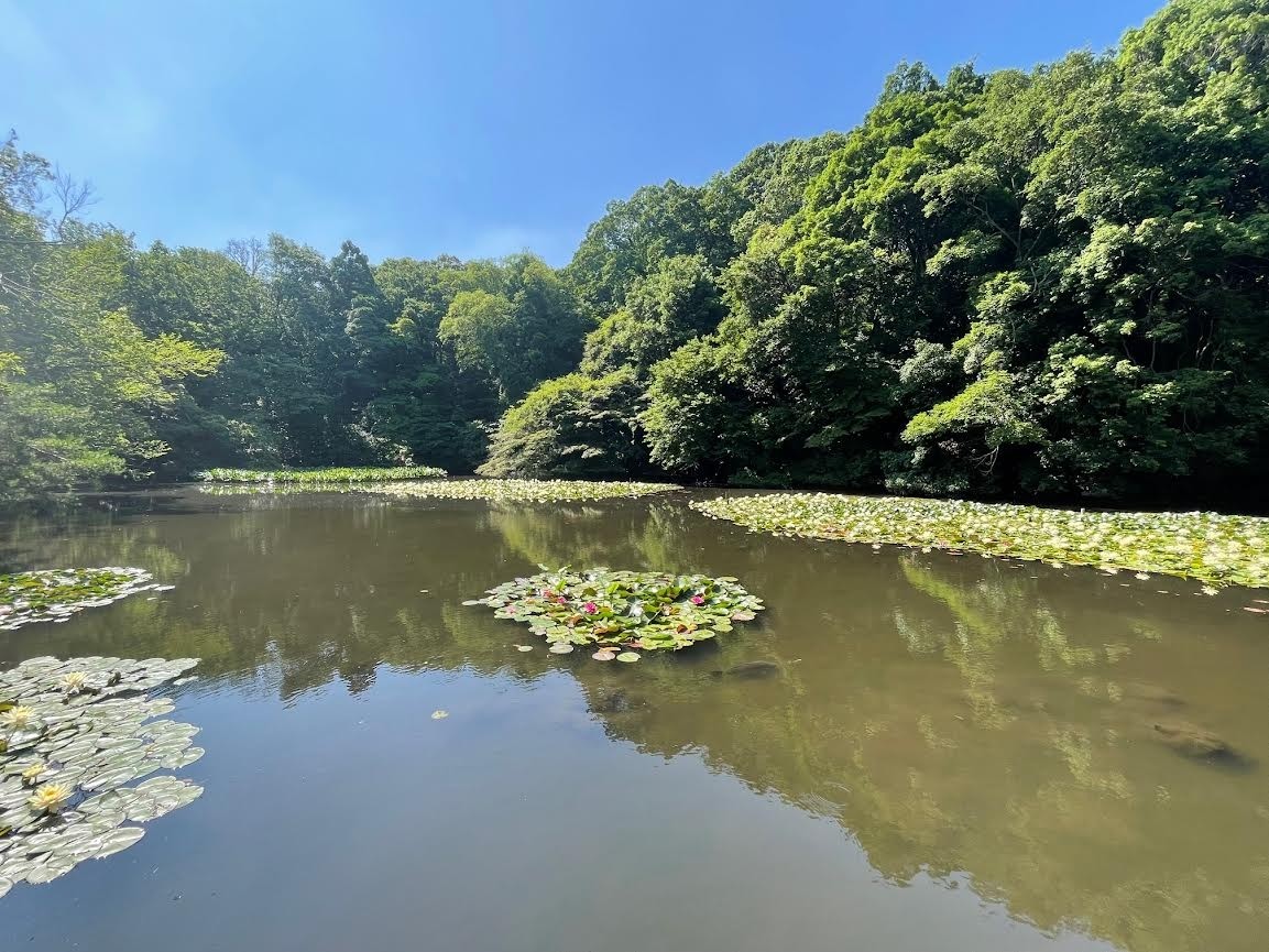 【高校生の転入学／中学生の新入学】個別相談＆進路アドバイス「学校が休みの間に、本当の自分と向き合える」