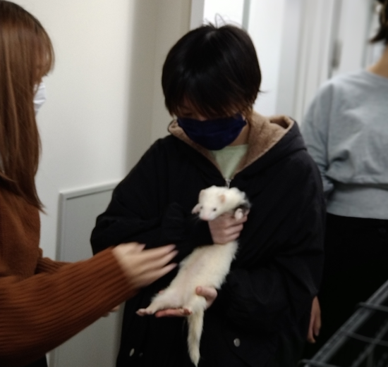 【小動物】教室でハリネズミと触れ合える？！