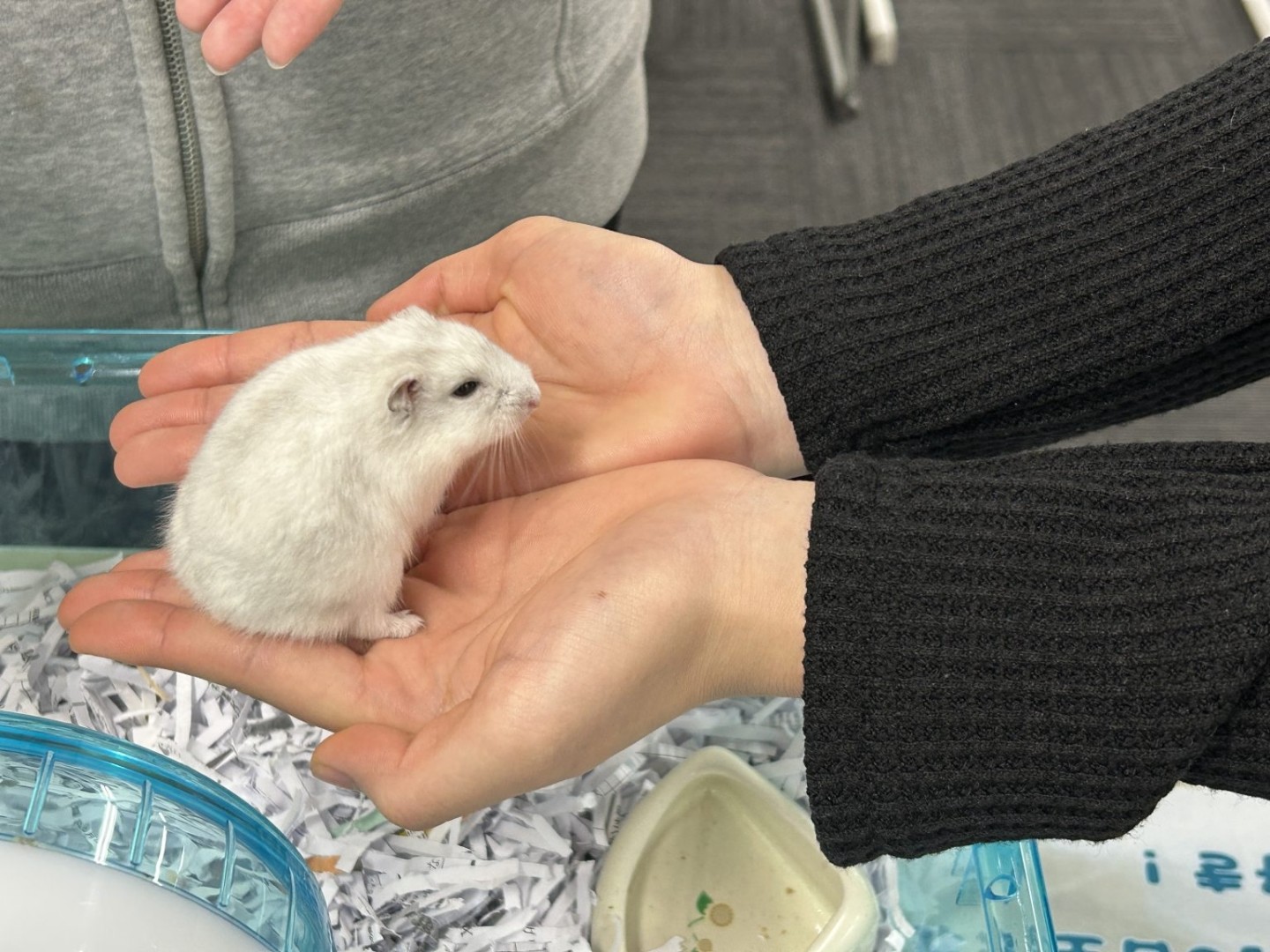  ブログ更新　動物たちの登校日【大阪梅田校】