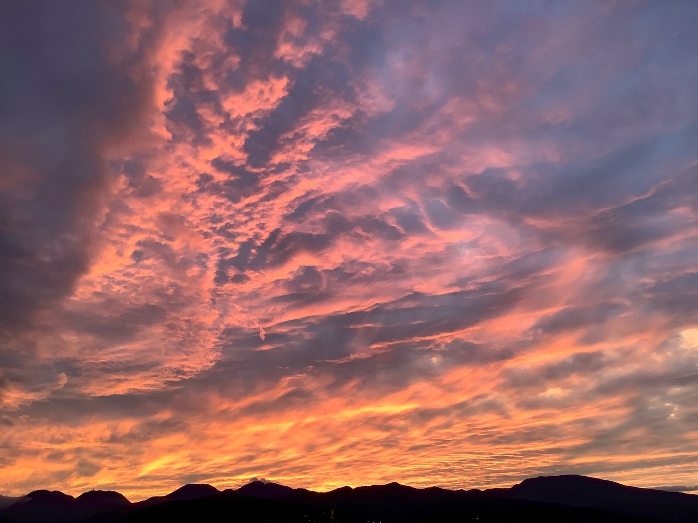 2026年度の募集要項ができました