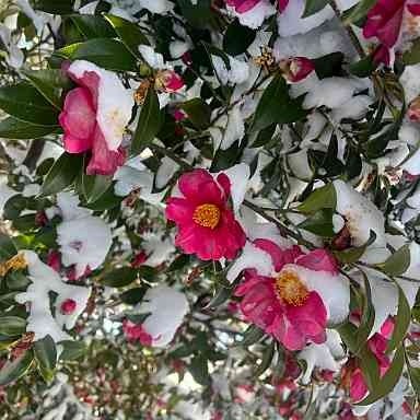 【小田原キャンパス】卒業予定生の進路内定状況