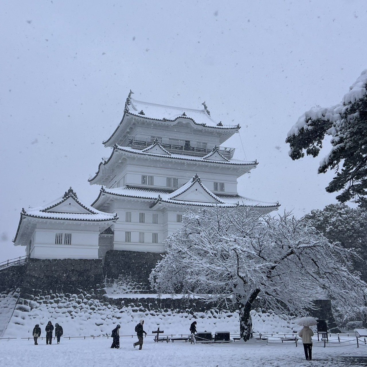 小田原にも雪が積もりました【小田原キャンパス】