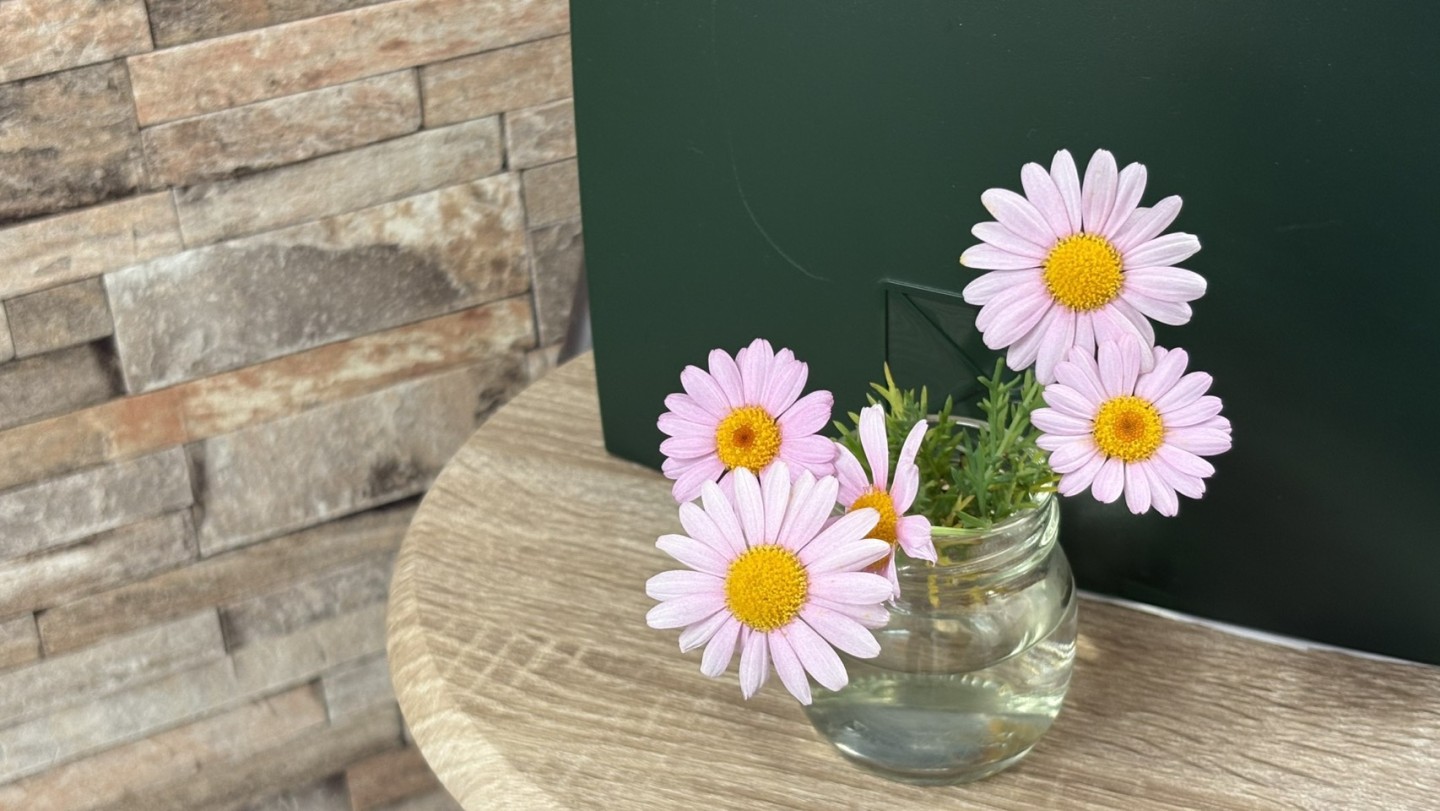 【小田原キャンパス】ゴールデンウィーク期間中の休校日のお知らせ