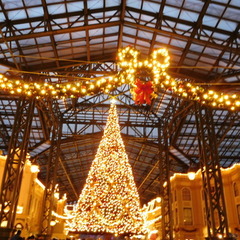 ★ディズニーランドへ行きました