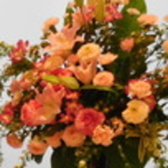 【3/26　17：00以降、3/27　13：30まで】キャンパス休校のお知らせ