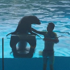 ◎9月3日（土）　合同相談会