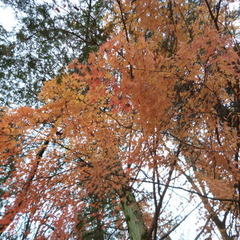 ◎　後期始まって1か月が経ちました