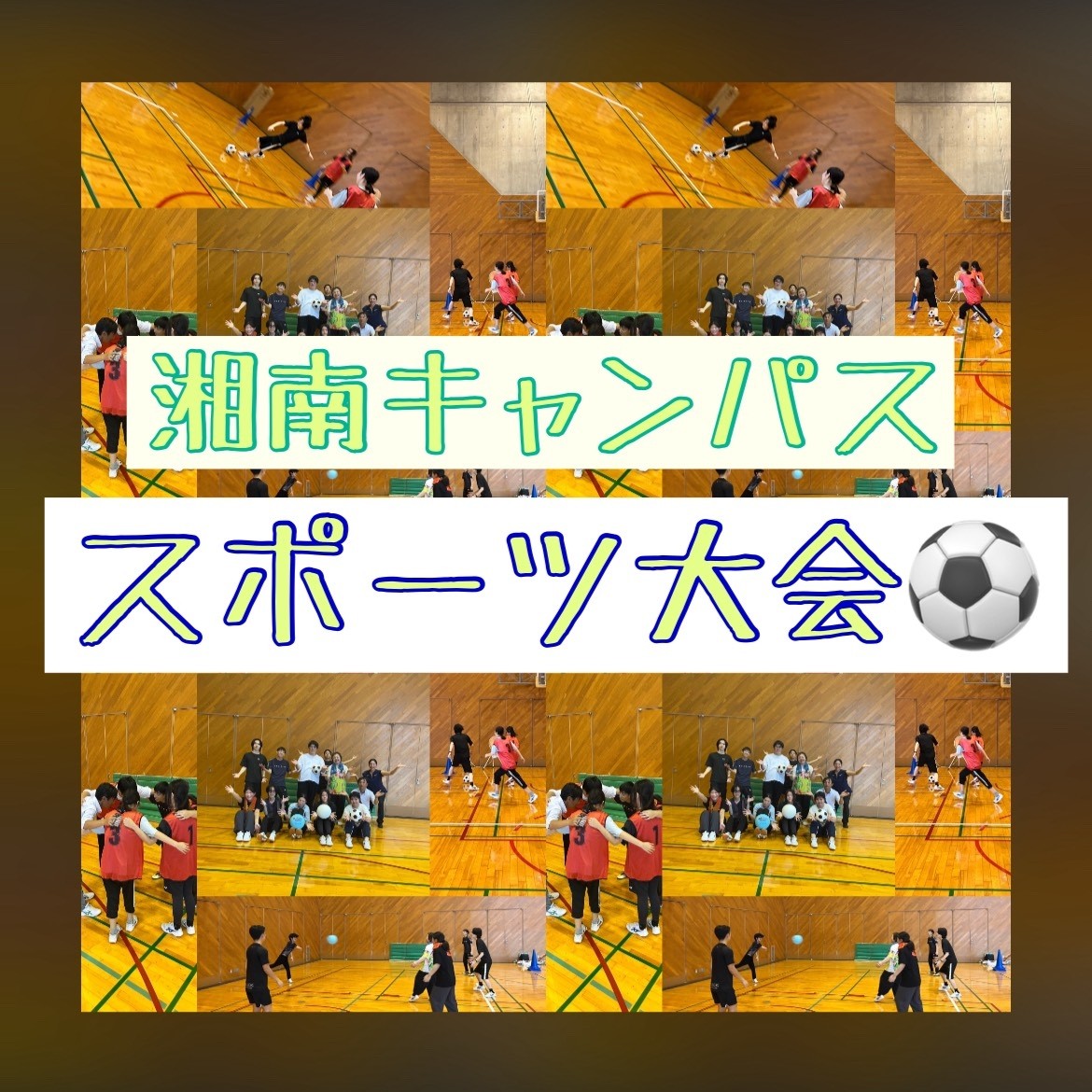 新規投稿