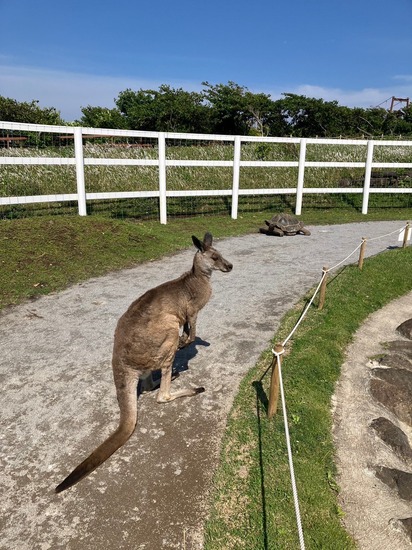 遠足でソレイユの丘に行ってきました～
