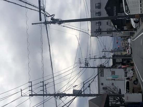 曇りで寒いです❄️