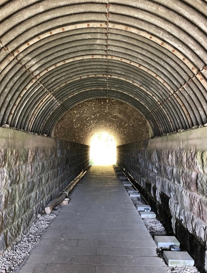 こんな写真を撮りました！