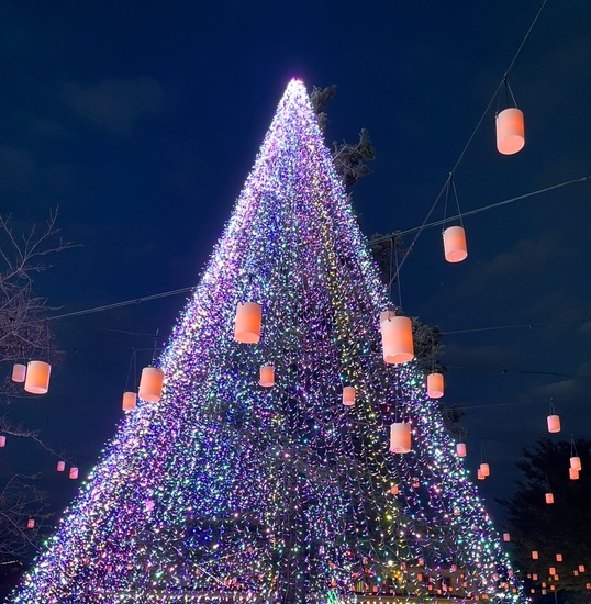 もうすぐクリスマスですね