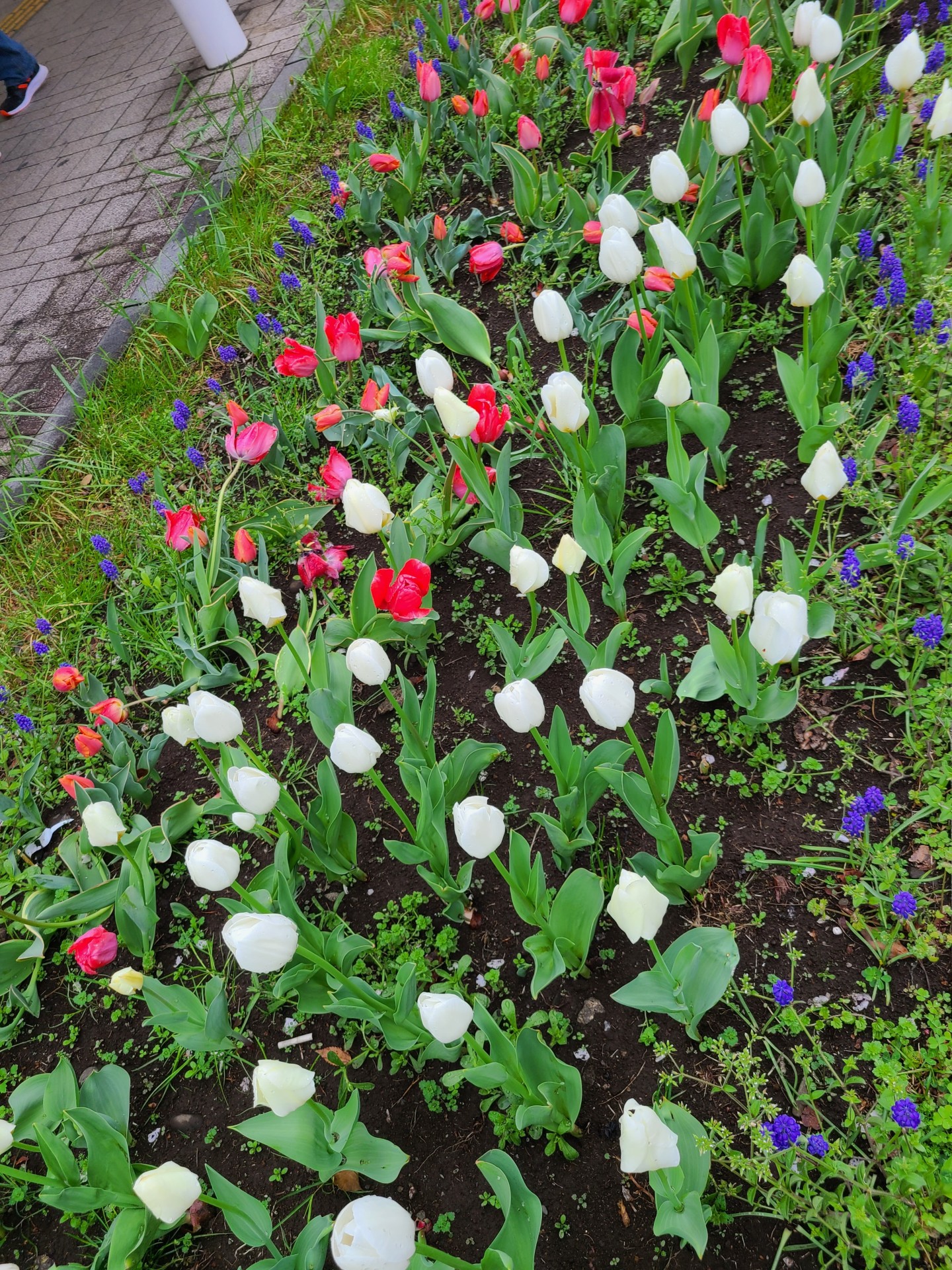 キャンパス春休み期間について