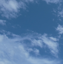 「就労系サポート校（自立支援）」のオープンキャンパスについて