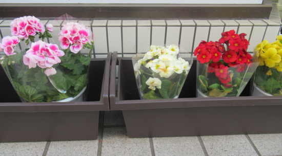 【進路サポート】を行いました！