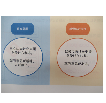 【質問】「グレーゾーン」です。卒業後も心配です。
