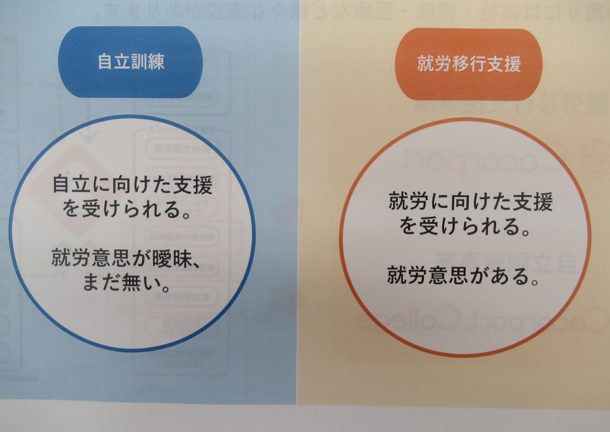 【質問】「グレーゾーン」です。卒業後も心配です。