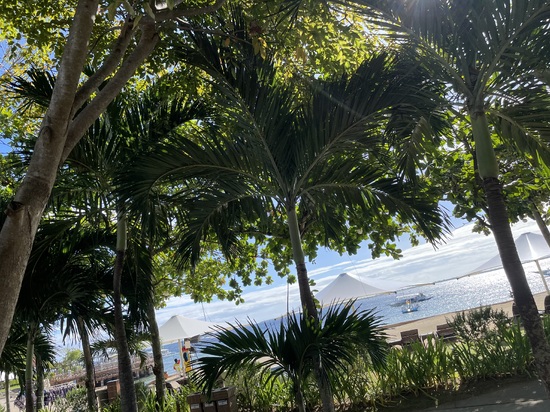 その不調、もしかして“太陽不足”かも！？☀️