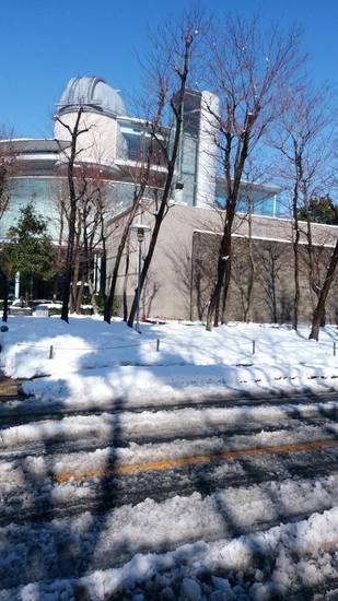 相模原市博物館