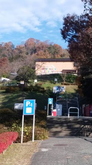 さがみ湖プレジャーフォレストツアーに行きました！