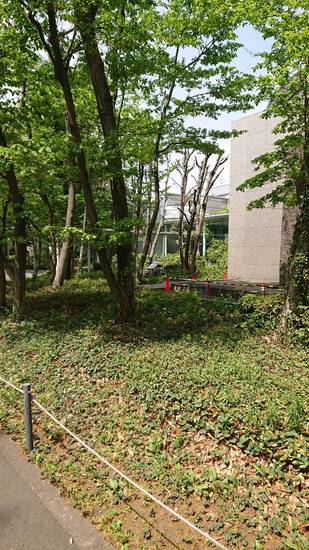 相模原市立博物館＆JAXAに行ってきました！！