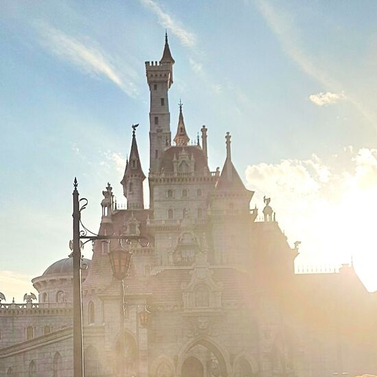 ディズニーランドツアー(2025.1.15）