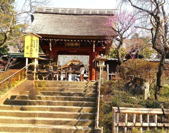 深大寺（そば？）ツアー（2025.2.12）