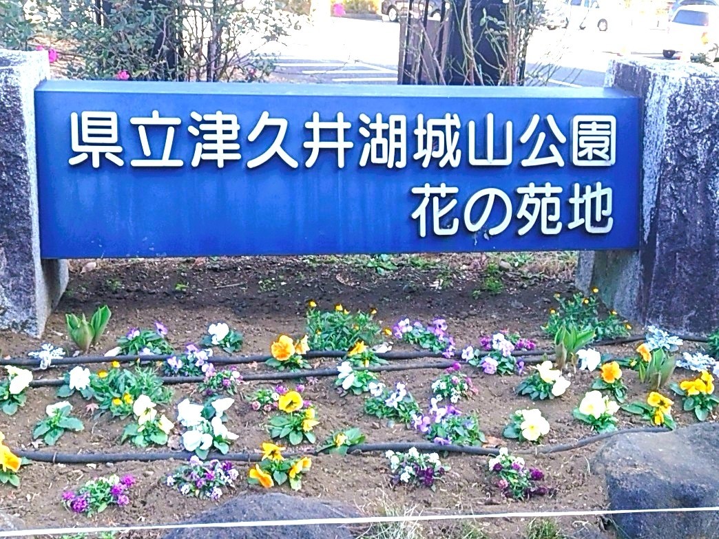 津久井湖城山公園ツアー(2025.12.8