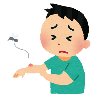 夏に気を付ける虫刺され【知っておこう】
