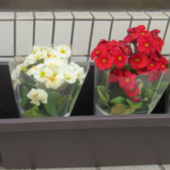 【進路サポート】を行いました！