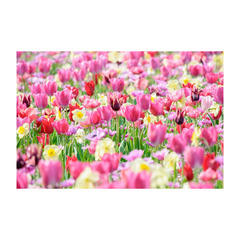 ★転編入募集および中学生の個別相談受付中