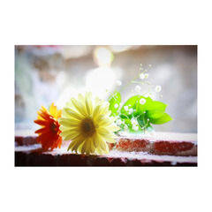 ★中学生の個別相談 転編入生の入学相談　受付中