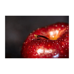 ★転編入募集および中学生の個別相談受付中