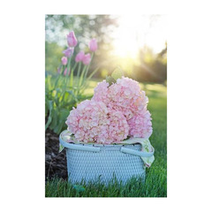 ★転編入募集および中学生の個別相談受付中