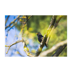 ★転編入募集および中学生の個別相談受付中