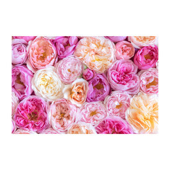 ★転編入募集および中学生の個別相談受付中