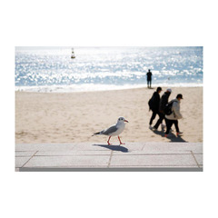 ★中学生の個別相談 転編入生の入学相談　受付中