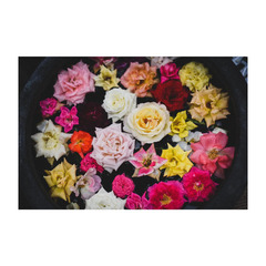 ★中学生の個別相談 転編入生の入学相談　受付中