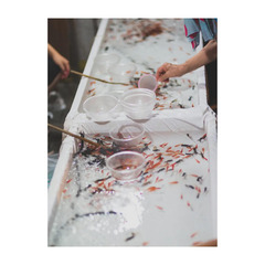 ★転編入募集および中学生の個別相談受付中