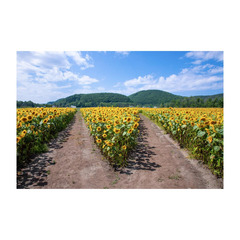 ★転編入募集および中学生の個別相談受付中