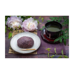 ★転編入募集および中学生の個別相談受付中