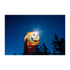 ★転編入募集および中学生の個別相談受付中