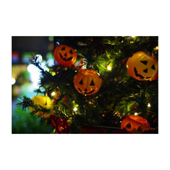 ★転編入募集および中学生の個別相談受付中