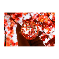 ★中学生の個別相談 転編入生の入学相談　受付中