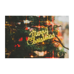 ★中学生の個別相談 転編入生の入学相談　受付中