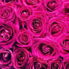 体力に不安がある・・・ぜひ個別面談・相談会にご参加ください