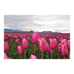 ★中学生の個別相談 転編入生の入学相談　受付中